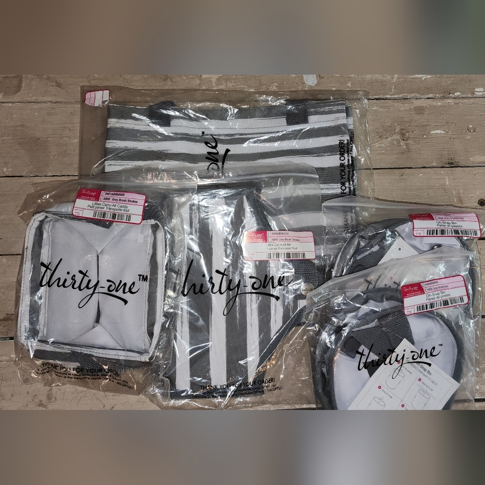 Thirty-one Gray Wave 5 pc.Lot  All-in, Mini,Catch All, Little Carry All, Oh Snap